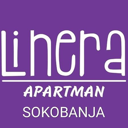 Apartman Linera 索科矿泉村 外观 照片